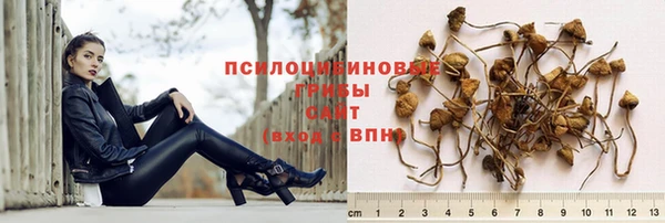 соль ск Нефтегорск