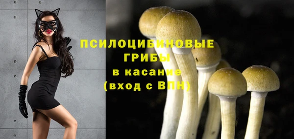 круглые Нефтекумск