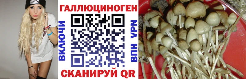 Галлюциногенные грибы MAGIC MUSHROOMS  где купить наркоту  Касимов 