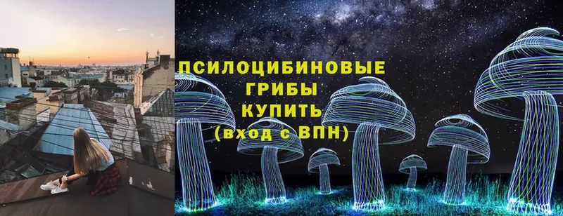 Галлюциногенные грибы Cubensis  Касимов 