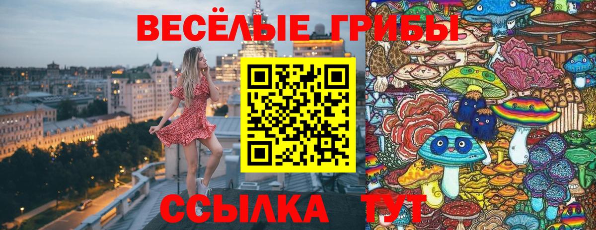 купить наркоту  Вход с VPN  Касимов  Псилоцибиновые грибы Cubensis 